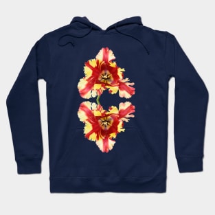 Tulipa 'Flaming Parrot' Parrot Group Tulip Hoodie